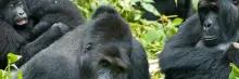 Rwanda