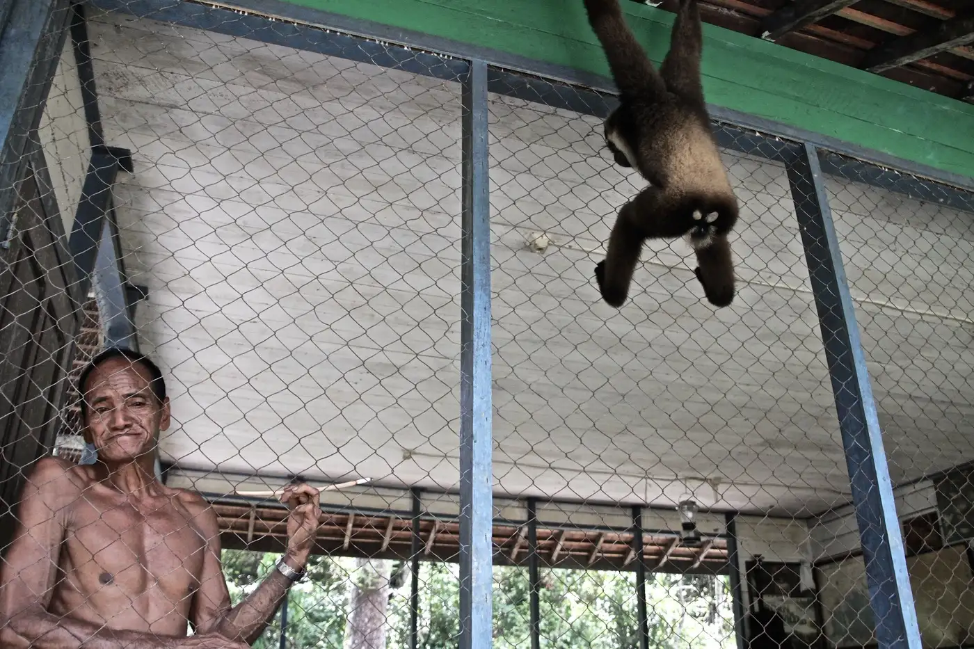 A man and a gibbon at Tanjung Puting National Park | Location: Tanjung Puting National Park, Indonesia