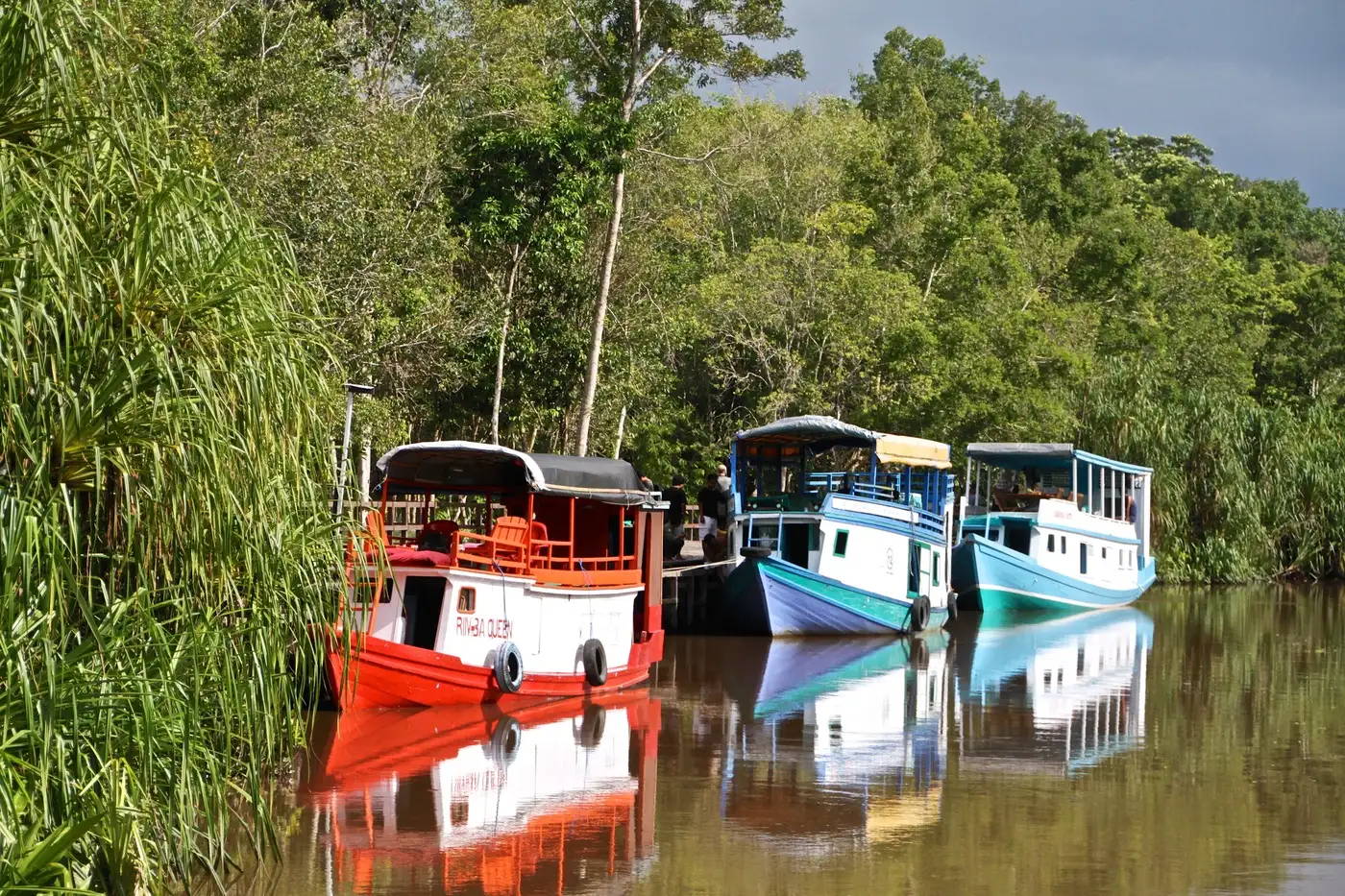 Klotoks (traditional boats) at Tanjung Puting National Park | Location: Tanjung Puting National Park, Indonesia