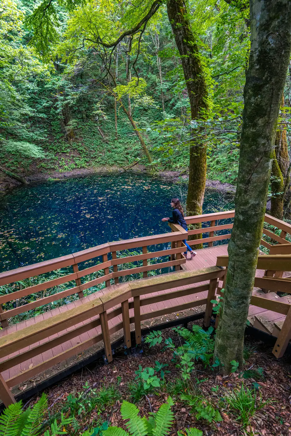 Oike Blue Pond, Hokkaido | Location: Japan