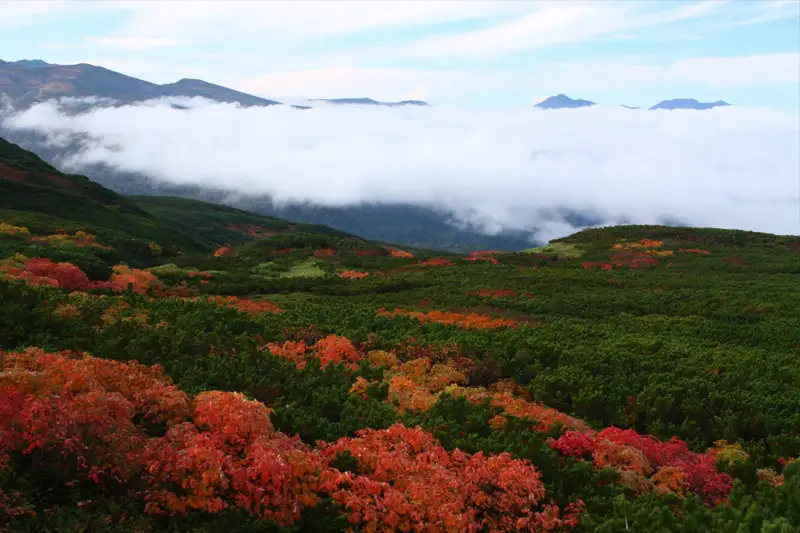 Asahidake Ropeway (fall) | Location: Japan