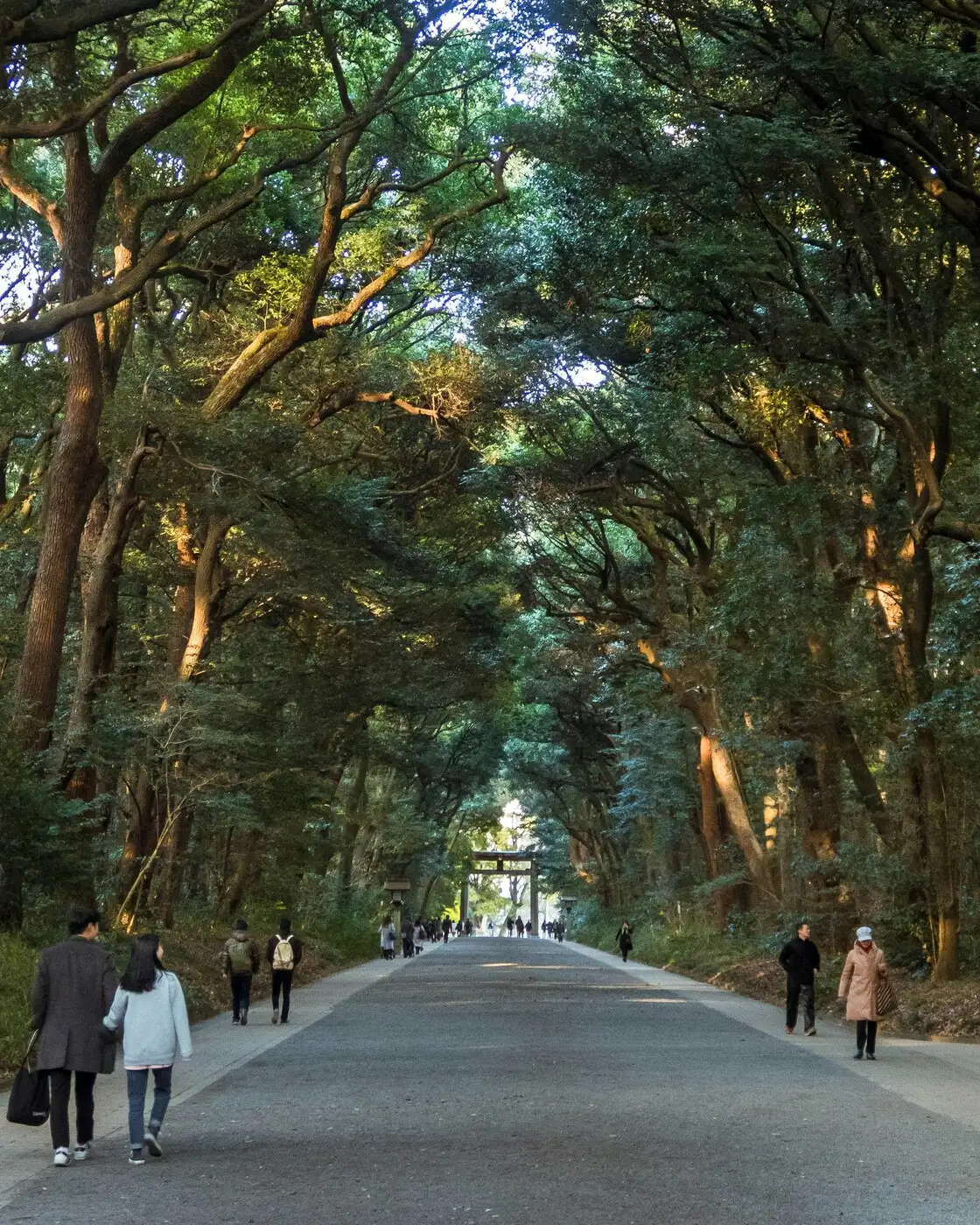 Meiji Shrine | Location: Tokyo, Japan