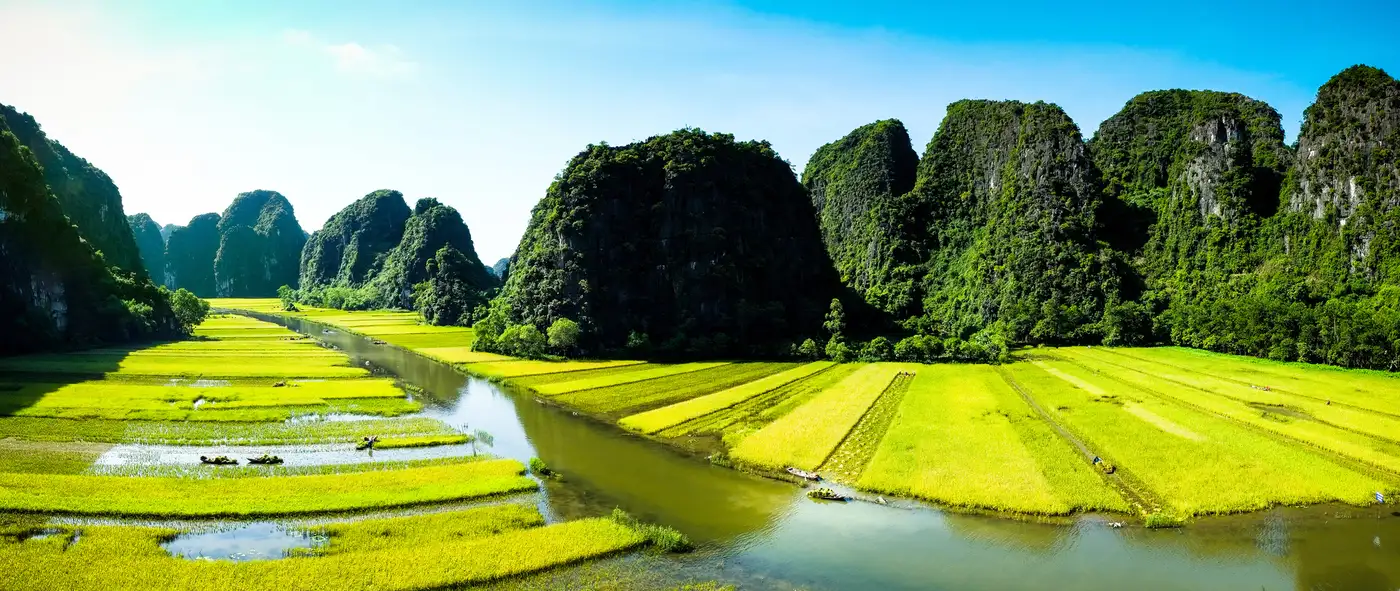 Ninh Binh rice fields | Location: Laos