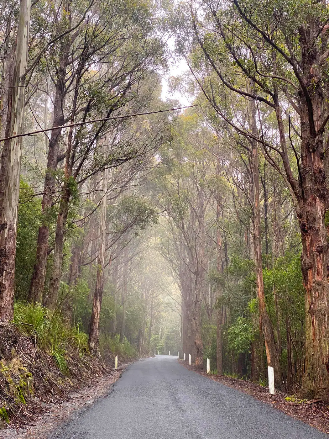Mount Wellington | Location: Hobart, Australia