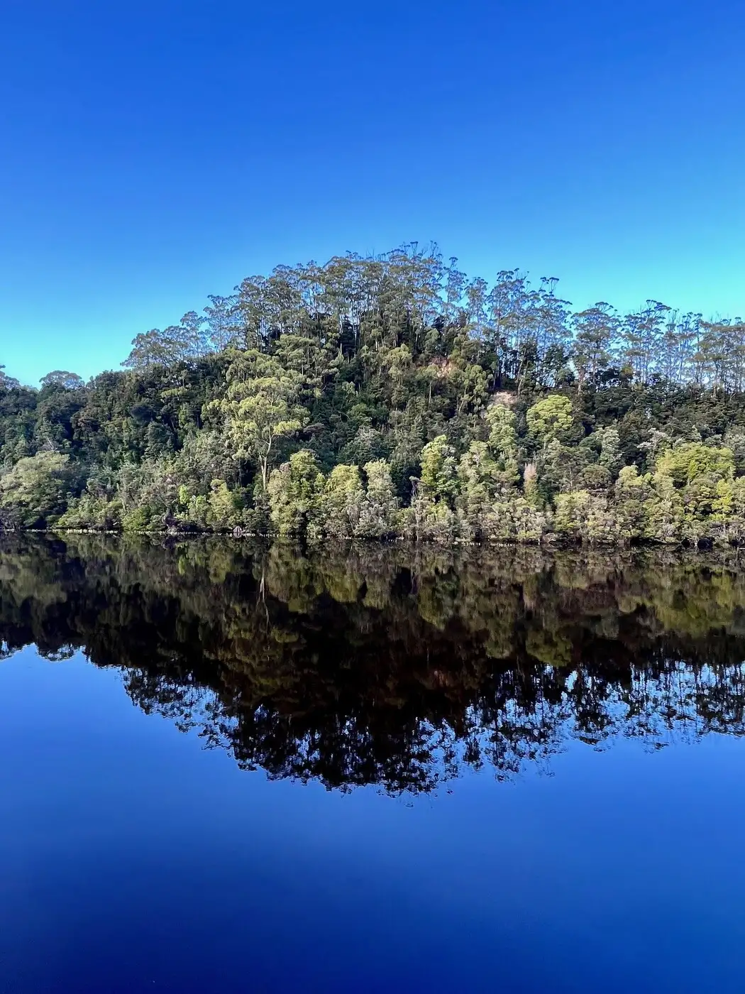 Gordon River - Tasmania | Location: Strahan, Australia