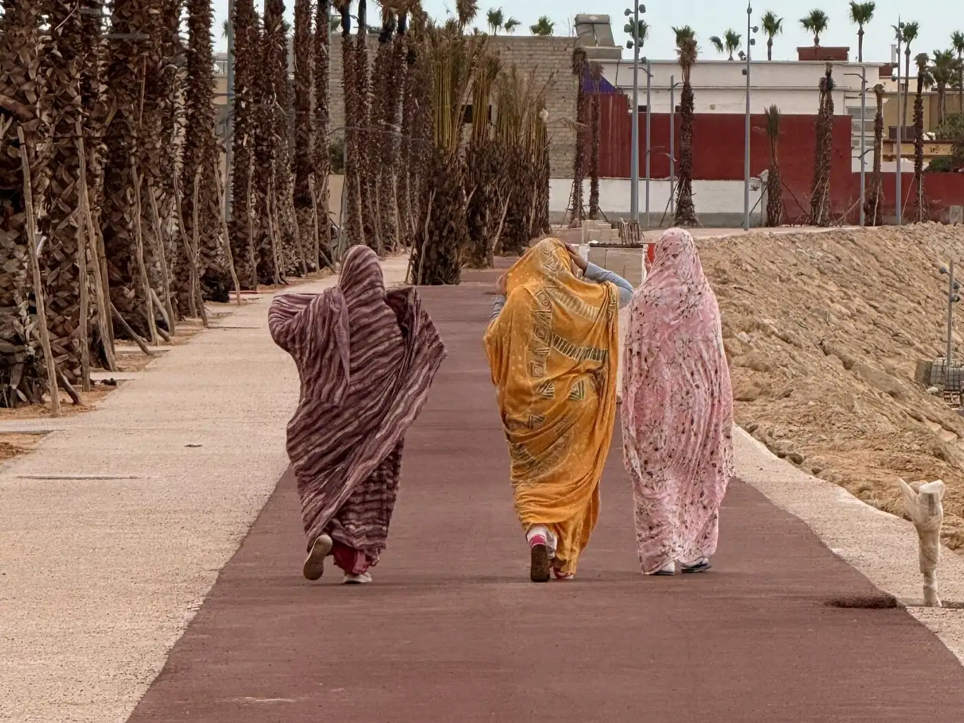 Location: Mauritania