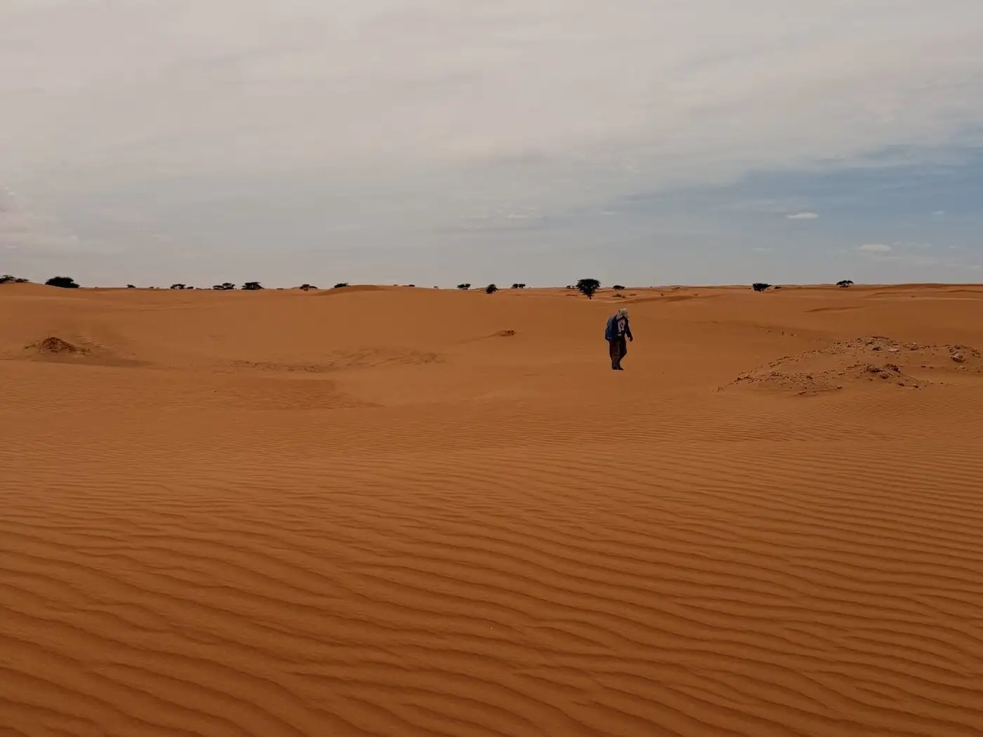 Location: Mauritania