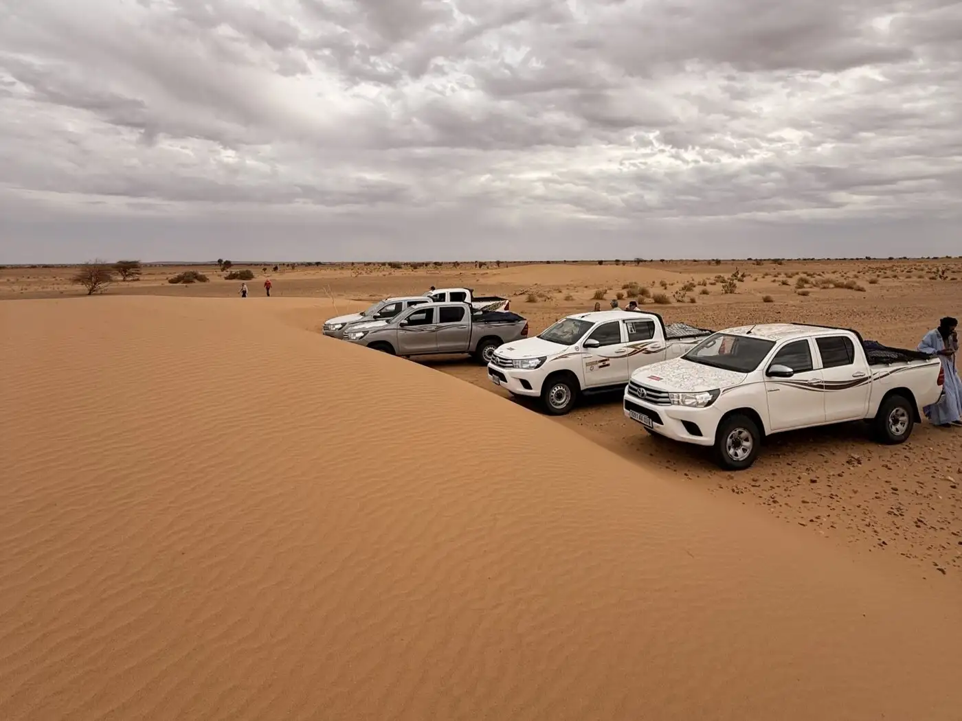 Our Mauritanian 'Fleet' | Location: Mauritania