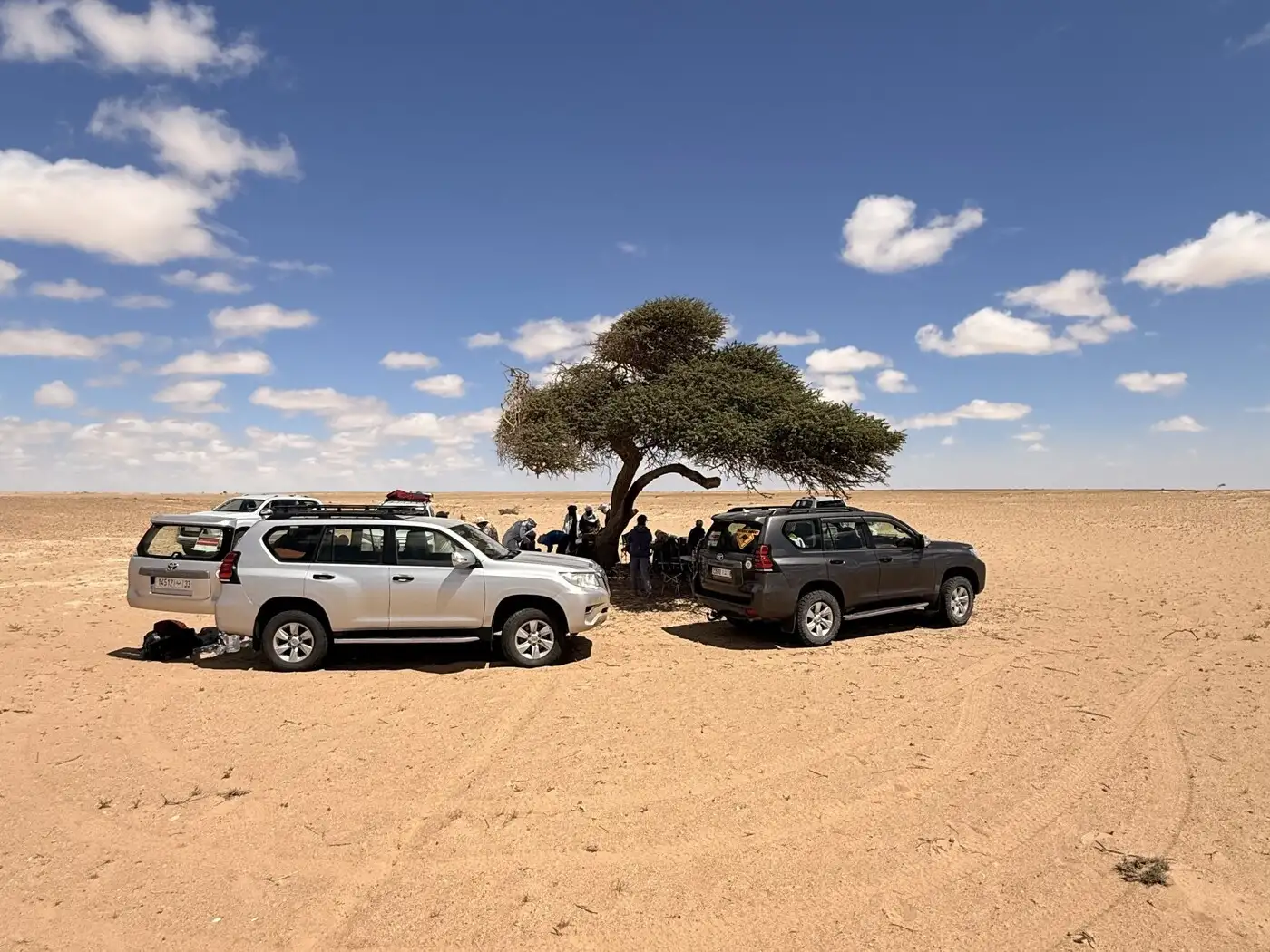 Afternoon Tea Stop - 2026 | Location: Mauritania