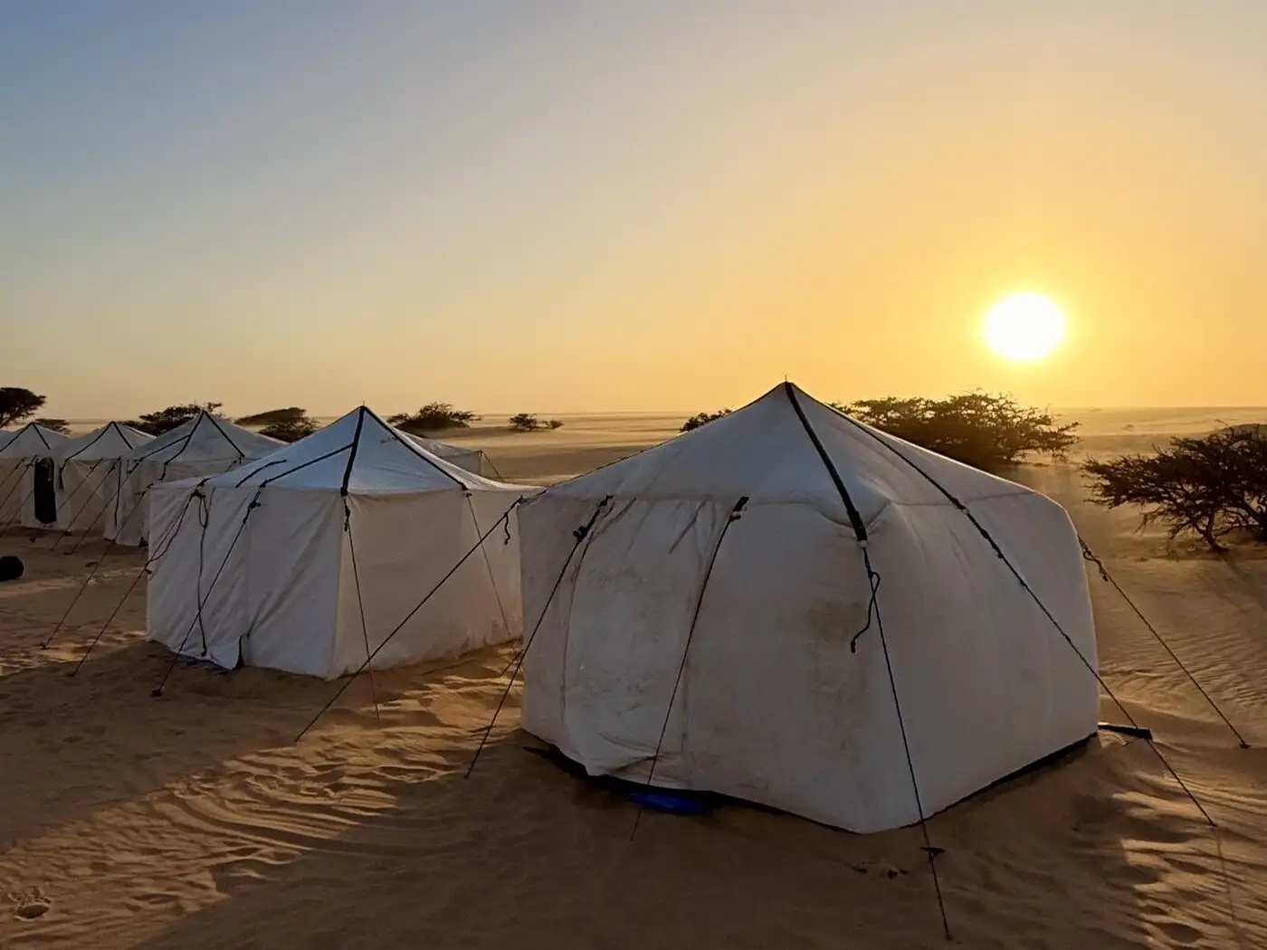 Western Sahara Camp 2026 | Location: Mauritania