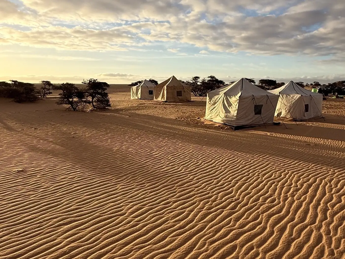 Western Sahara Camp 2026 | Location: Mauritania