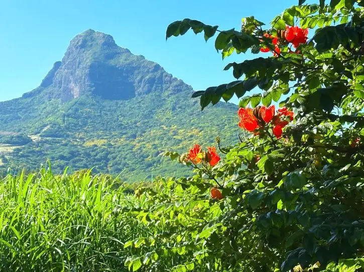 Lion Mountain | Location: Mauritius