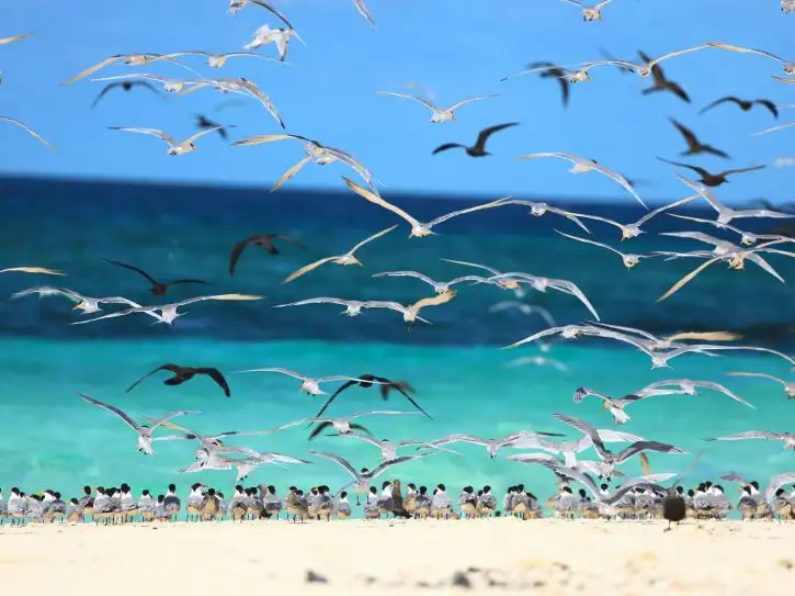 Location: Mayotte