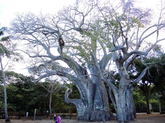 Location: Mamoudzou, Mayotte
