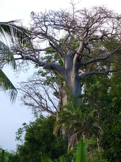Location: Mamoudzou, Mayotte
