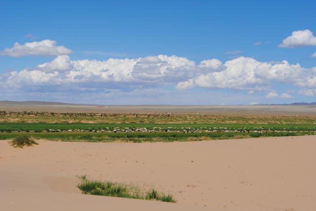 Khongor Sands | Location: Mongolia