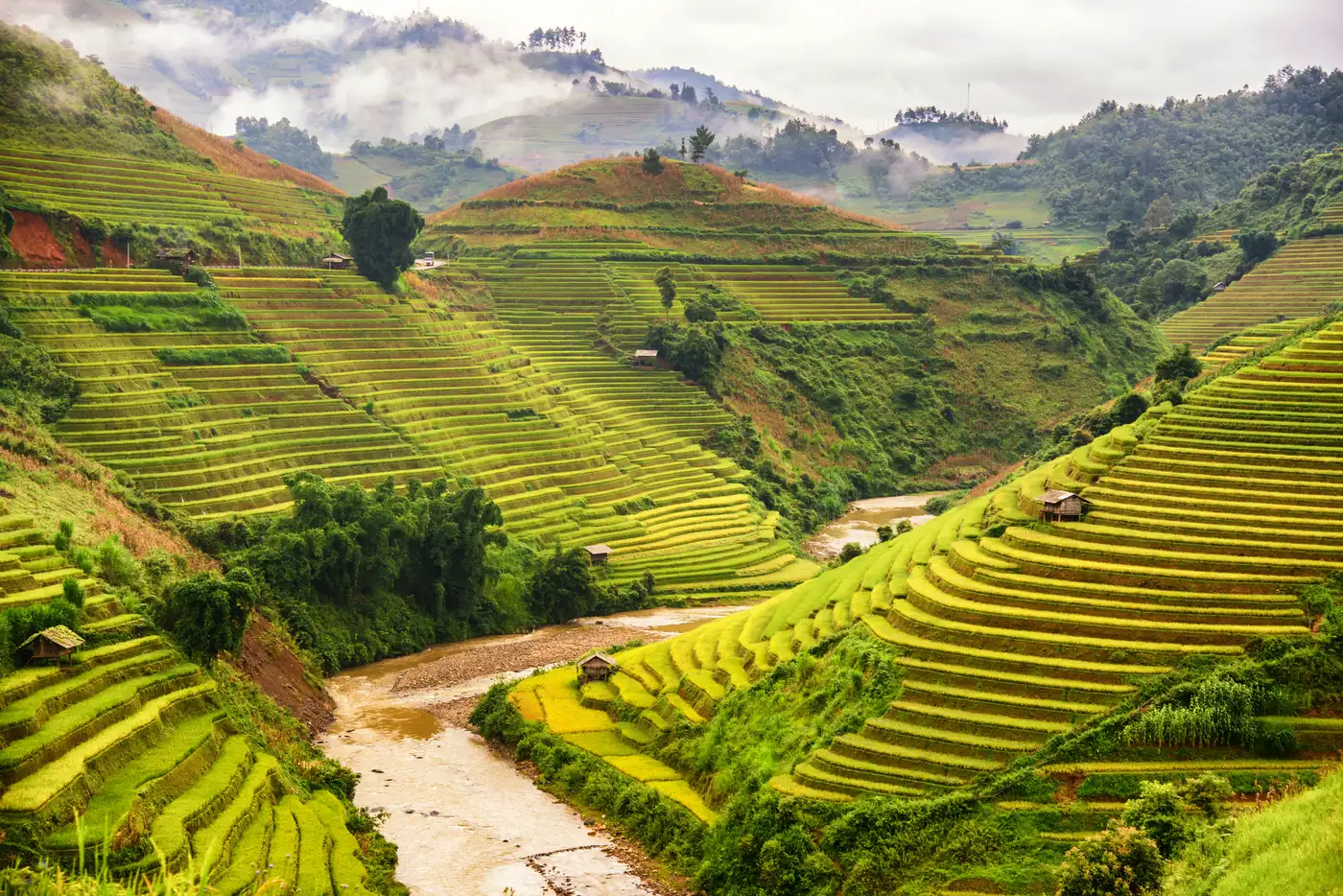 Rice Terraces of Mu Cang Chai | Location: Banaue, Philippines