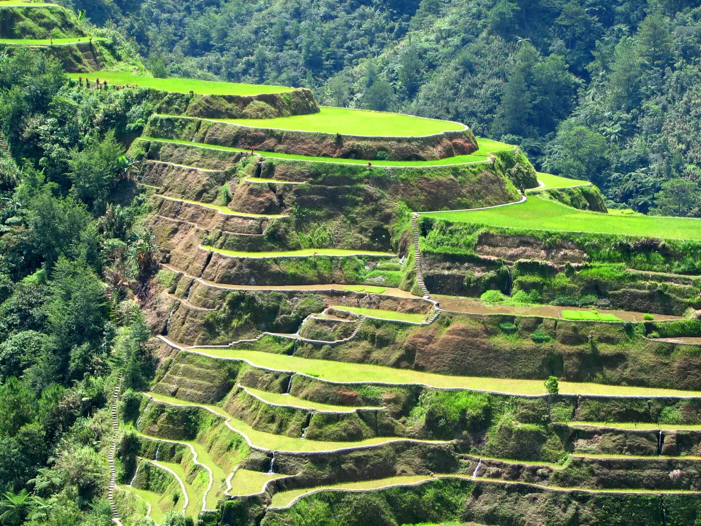 Rice Terraces of Banaue | Location: Banaue, Philippines