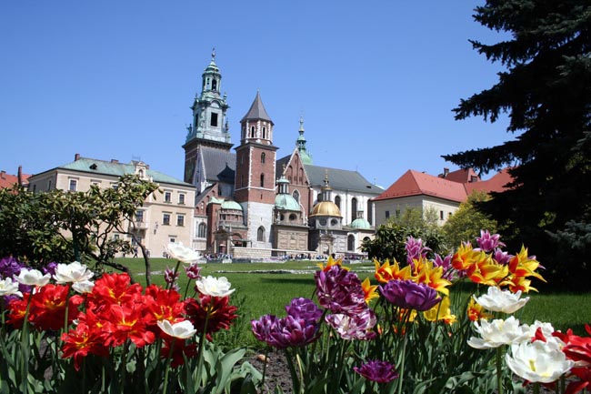 Location: Krakow,  Poland
