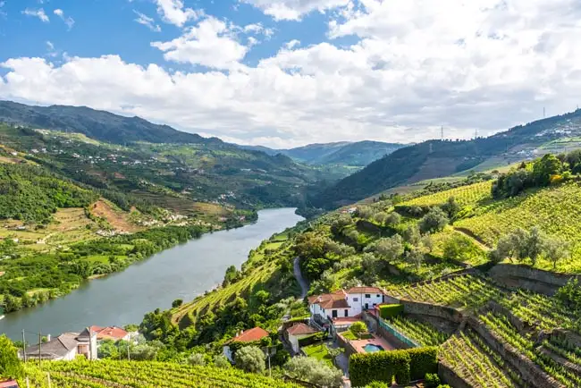 Vineyards and Landscape of the Douro river | Location: Douro, Portugal