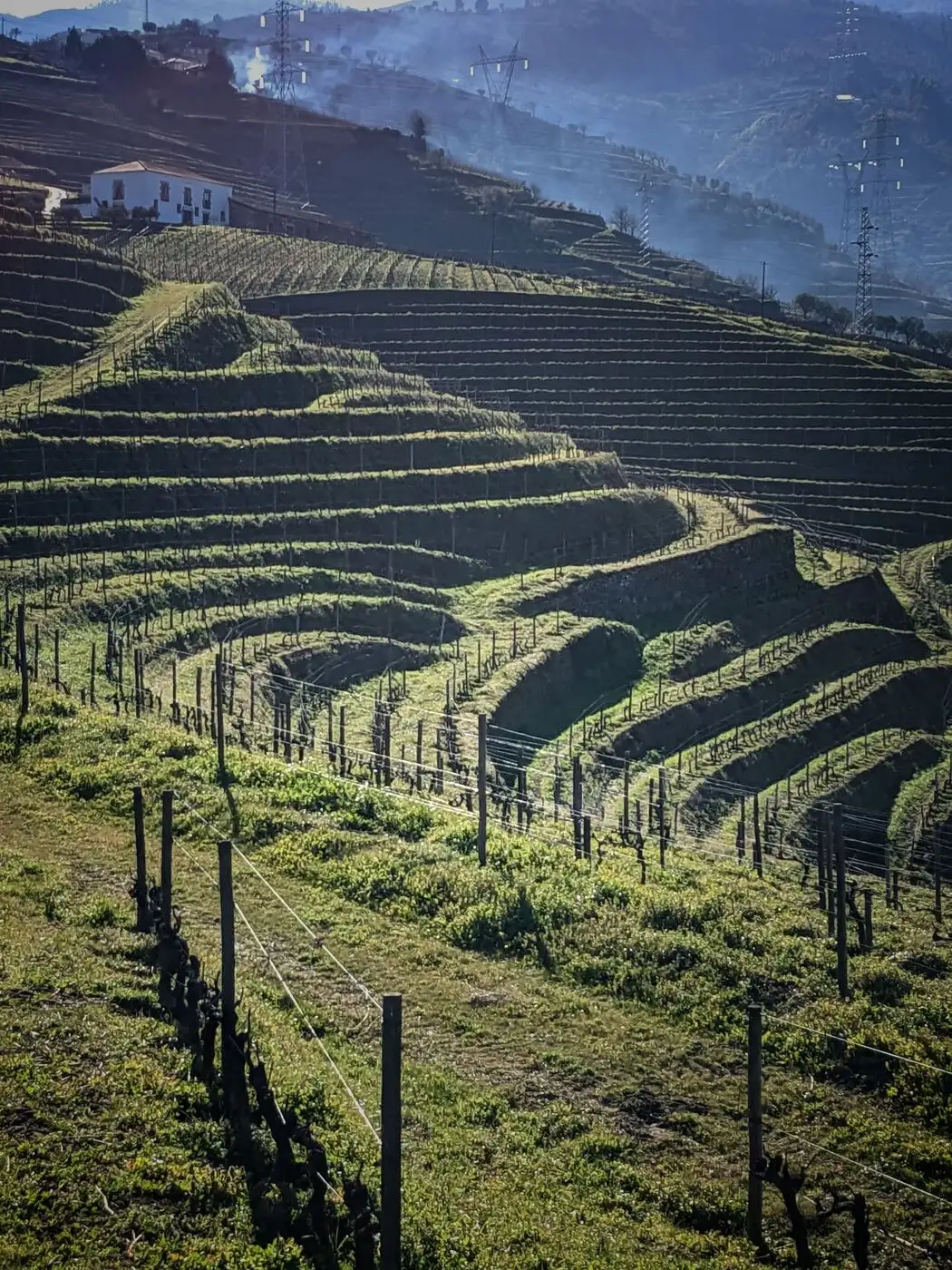 Location: Portugal