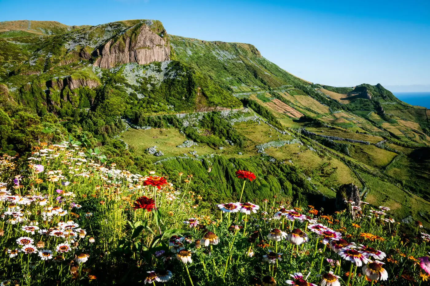 Madeira | Location: Portugal