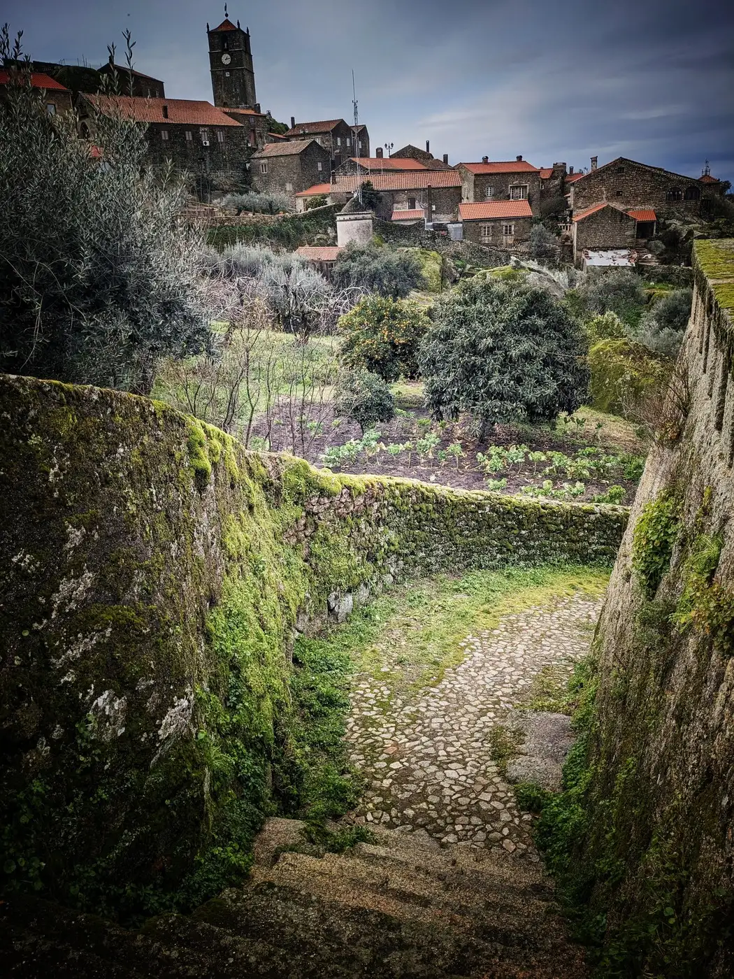 Monsanto | Location: Portugal