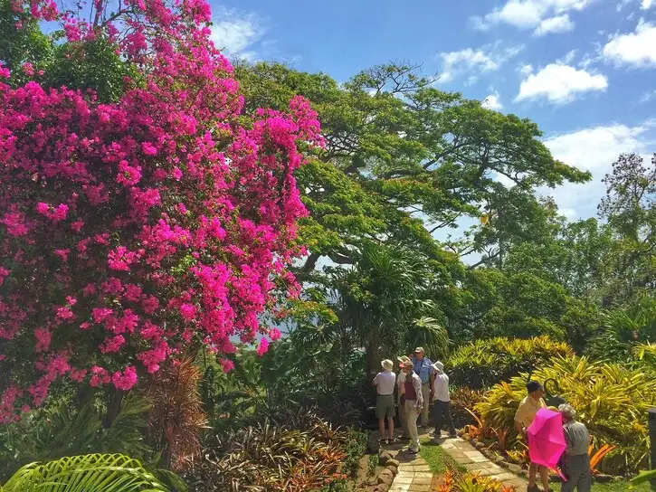 Saint Kitts | Location: Saint Kitts and Nevis