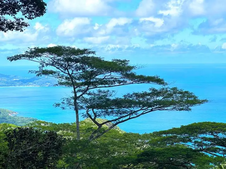 Location: Seychelles