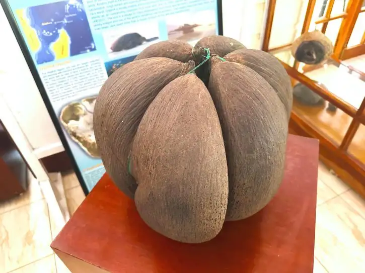 Location: Seychelles