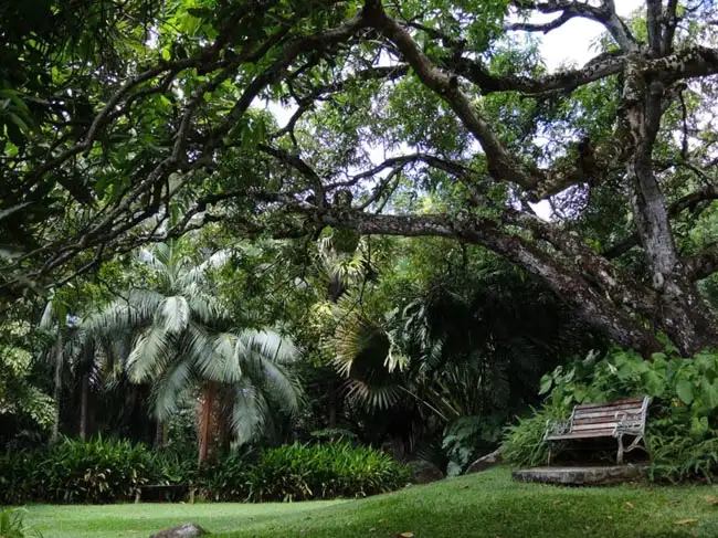 Location: Mahe, Seychelles