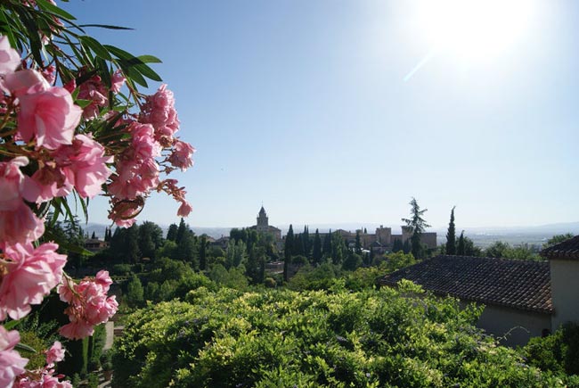 View of Granada | Location: Granada,  Spain