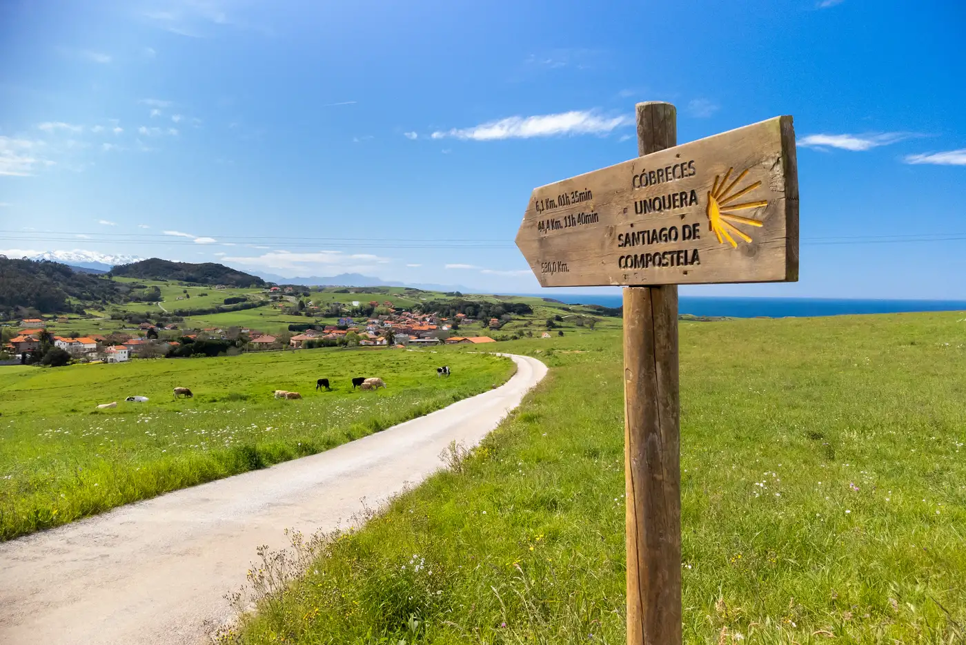 El Camino Landscape | Location: Spain