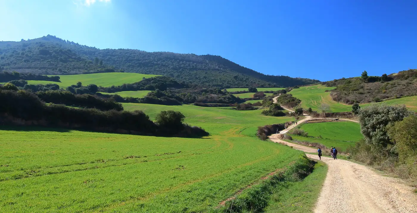 These Camino Views! | Location: Spain