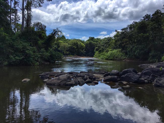 Location: Kabalebo Jungle Resort,  Suriname