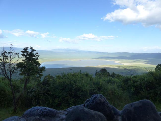 Location: Ngorongoro Conservation Area,  Tanzania, United Republic of