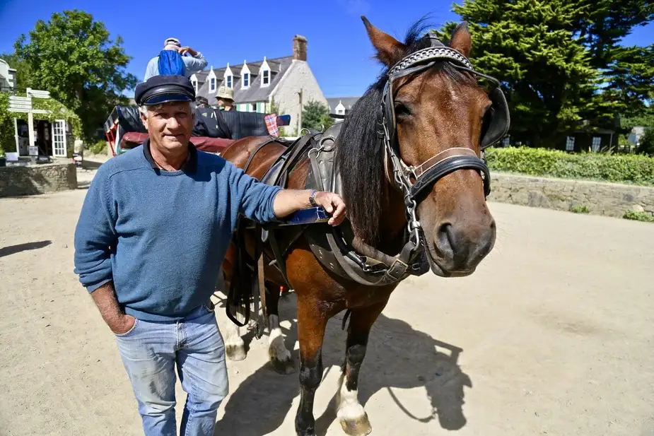 Horse-drawn Carriage on the Island of Sark | Location: Guernsey Island, United Kingdom