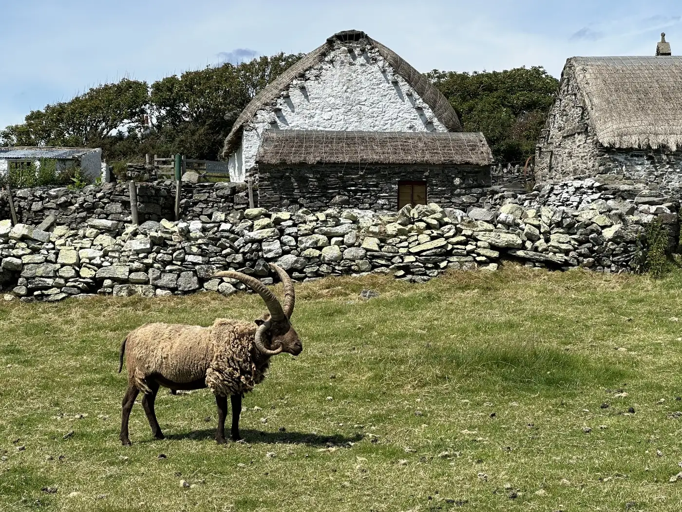 Craigneach, Isle of Man | Location: United Kingdom