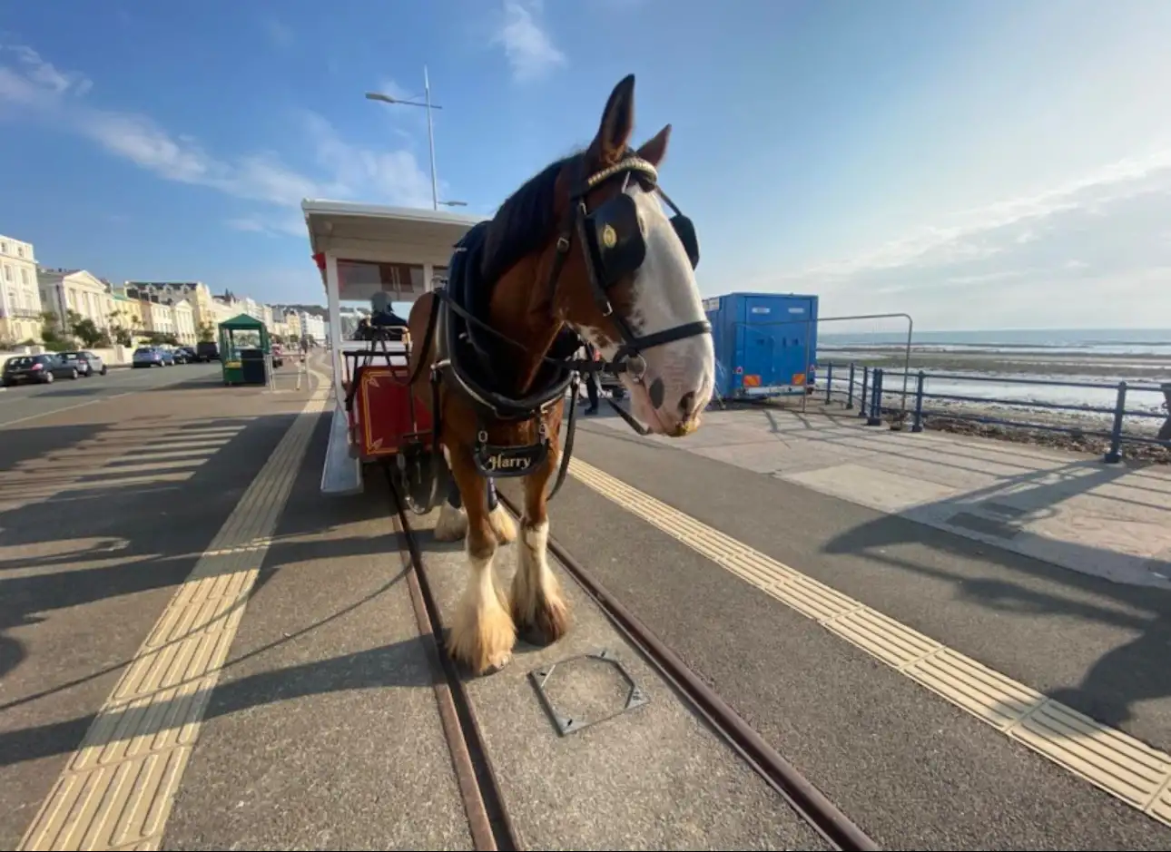 Douglas Waterfront, Isle of Man | Location: Douglas, United Kingdom