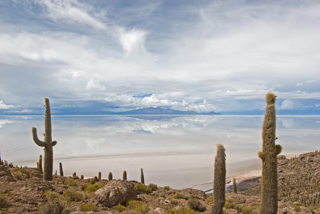 Altiplano | Location: Bolivia