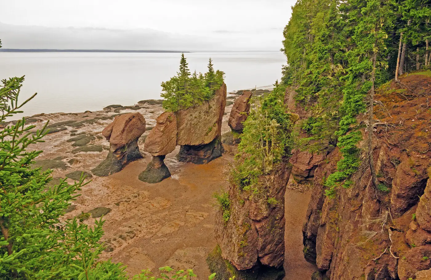 Hopewell Rocks, Bay of Fundy (NB) | Location: Canada