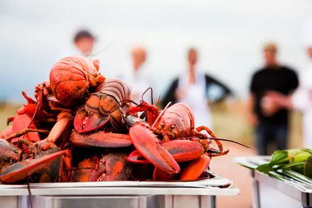 Lobster feast! | Location: Canada