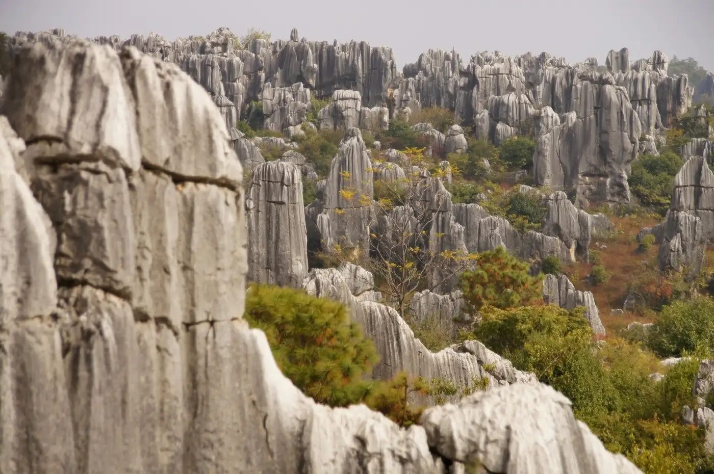 Stone Forest (Shilin), Yunnan | Location: China