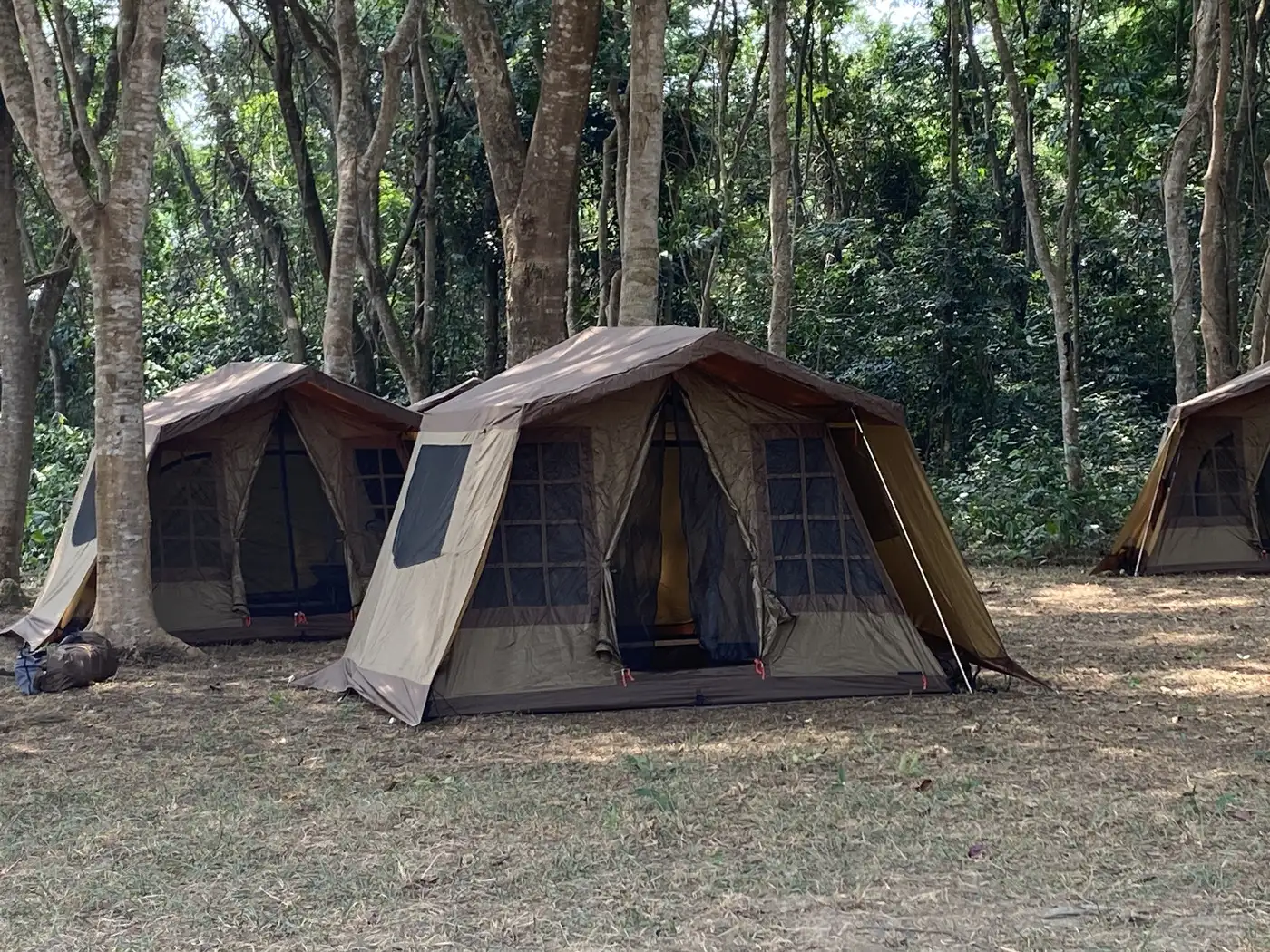 DRC - Bonobo Tracking Camp | Location: Congo Brazzaville