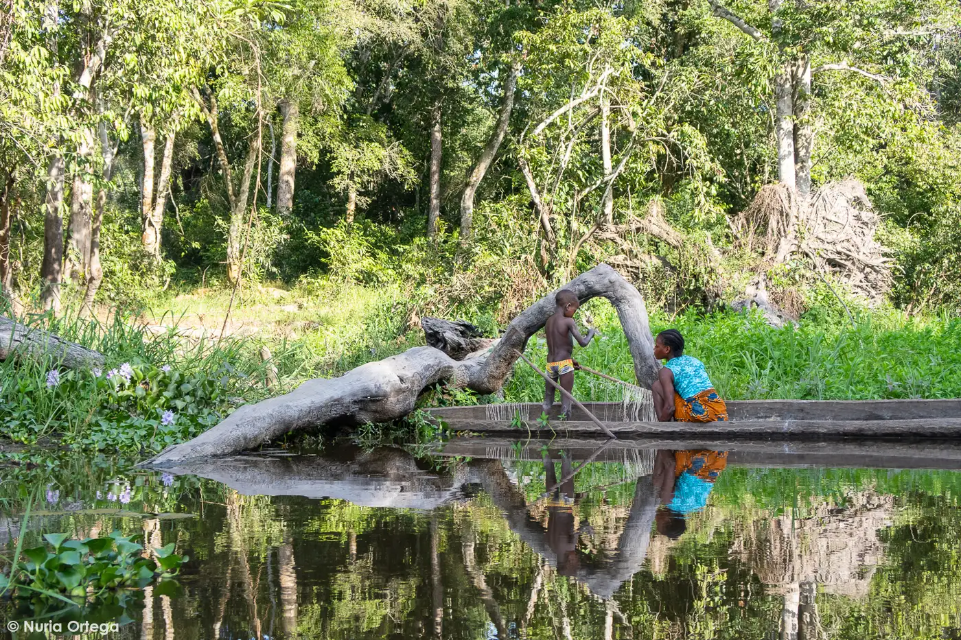 Republic of the Congo | Location: Congo Brazzaville