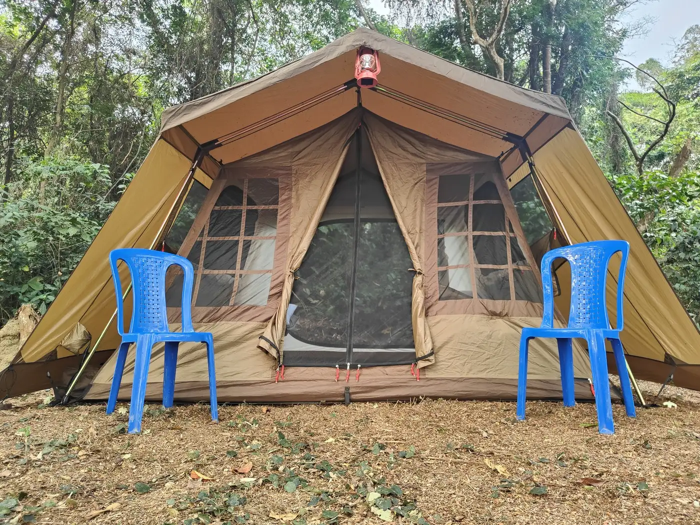 DRC Bonobo Tracking - Camp | Location: Congo Brazzaville