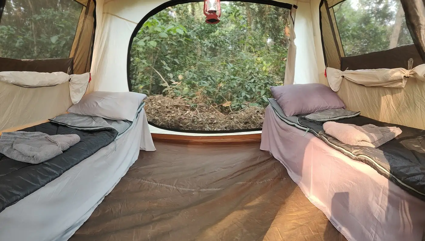 DRC Bonobo Tracking - Camp | Location: Congo Brazzaville