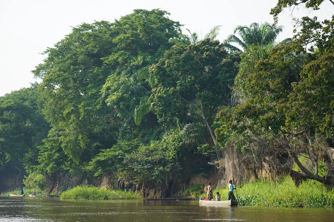Sangha River - Republic of the Congo | Location: Congo Brazzaville