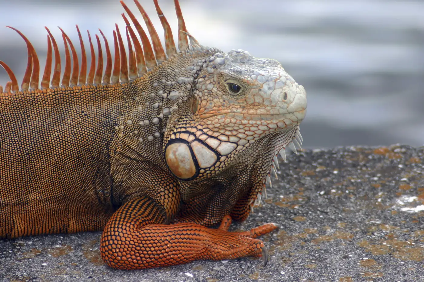 Location: Galapagos, Ecuador