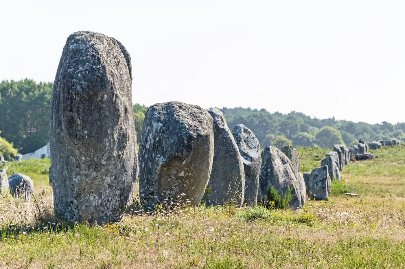 Neolithic Menhirs at Carnac | Location: France